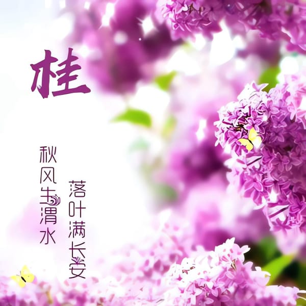 ͷ񣺶١䡢ࡢѡ̡Ρʡࡢ
